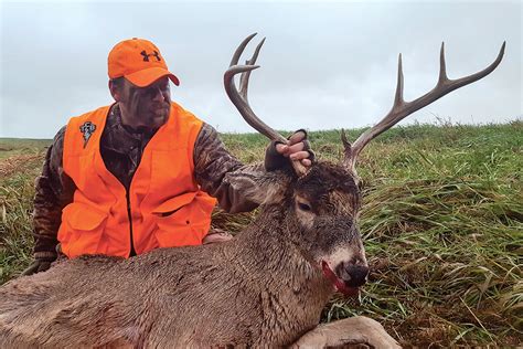 deer hunter roulette scene|whitetail hunting tips.